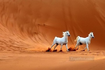 two boys singing Painting - two white horses in desert